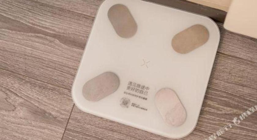 Ibis Expo Dongming Road Metro Station 3*